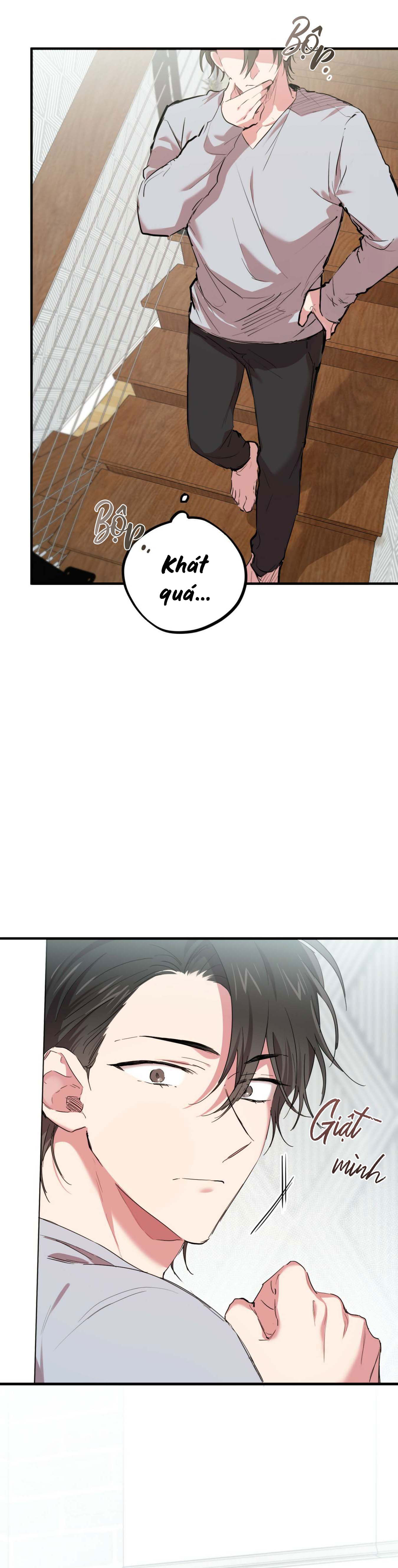 Những Chú Thỏ Của Habibi - Chap 15