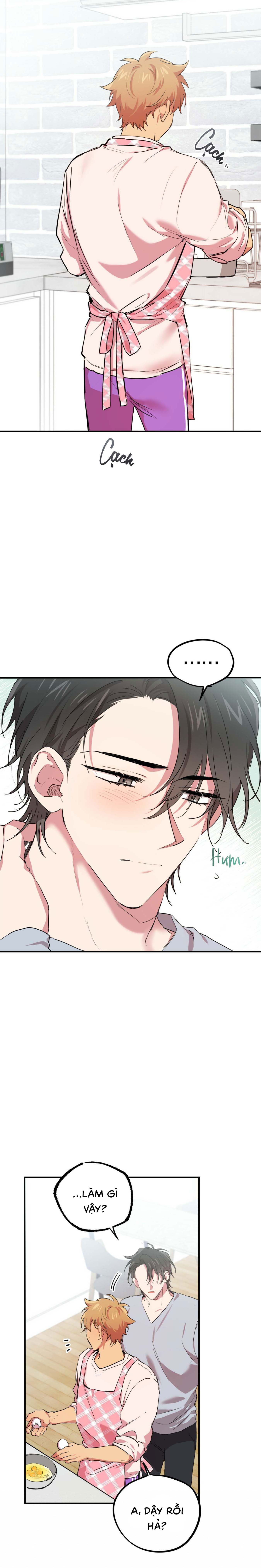 Những Chú Thỏ Của Habibi - Chap 15