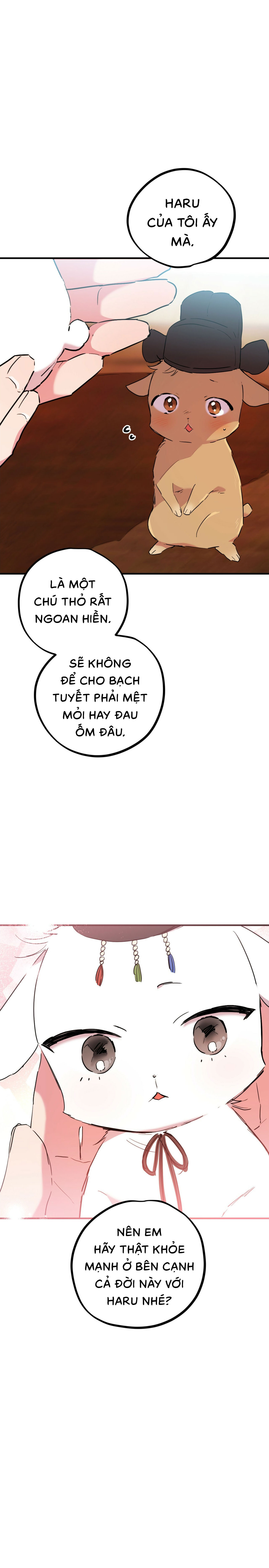 Những Chú Thỏ Của Habibi - Chap 16