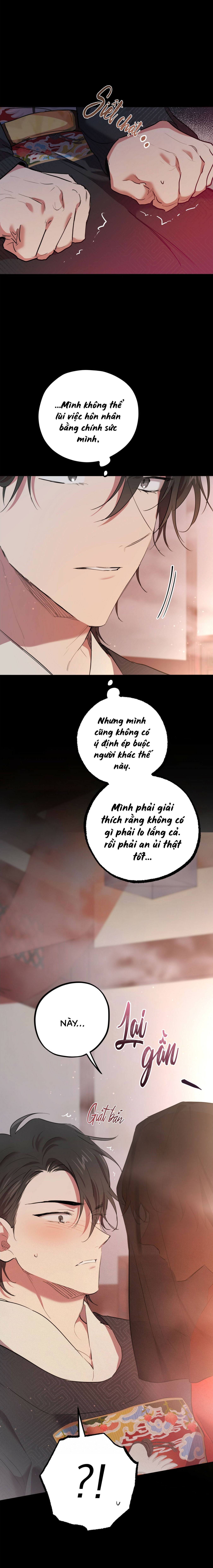 Những Chú Thỏ Của Habibi - Chap 16
