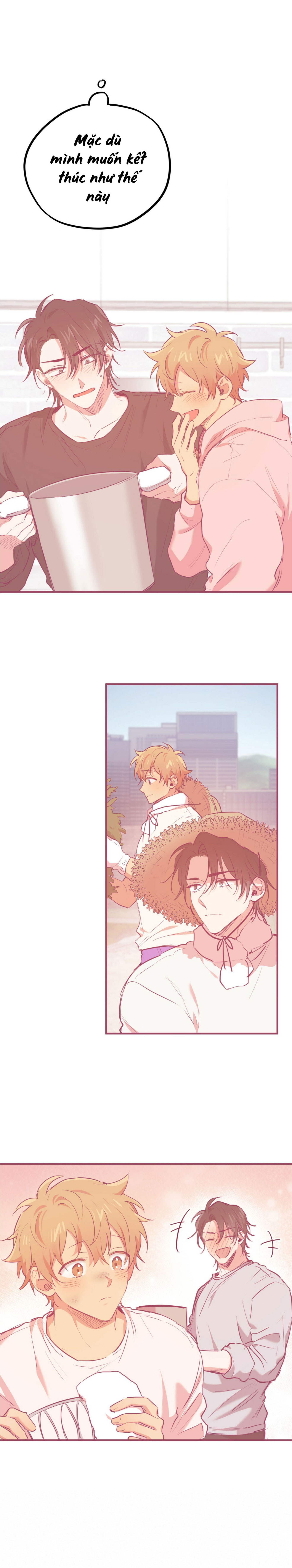 Những Chú Thỏ Của Habibi - Chap 19