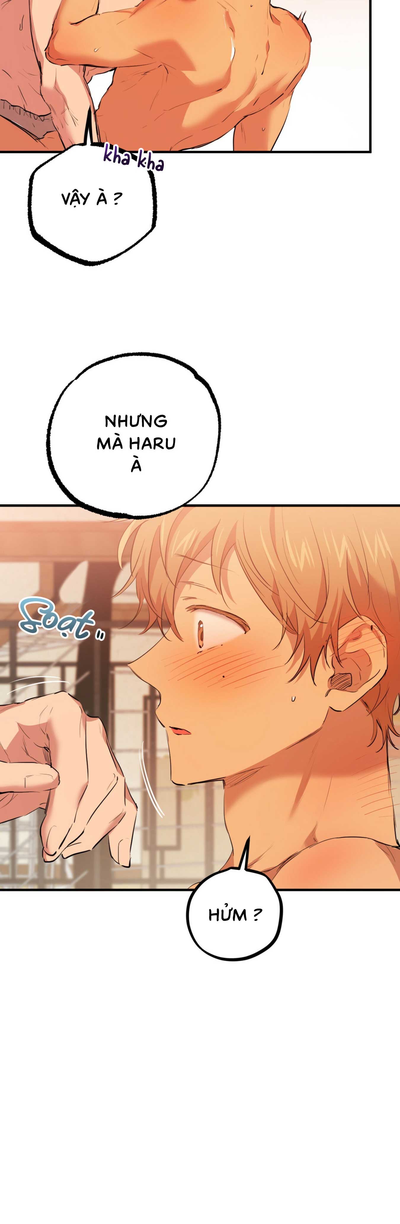 Những Chú Thỏ Của Habibi - Chap 25 (H)