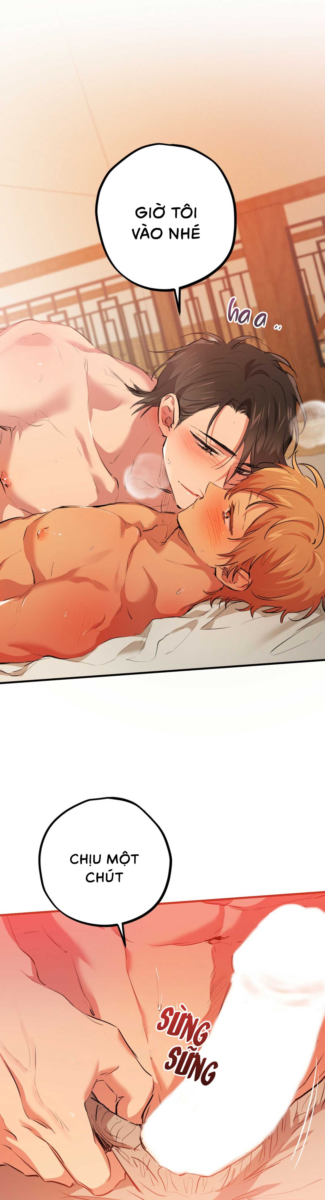 Những Chú Thỏ Của Habibi - Chap 25 (H)