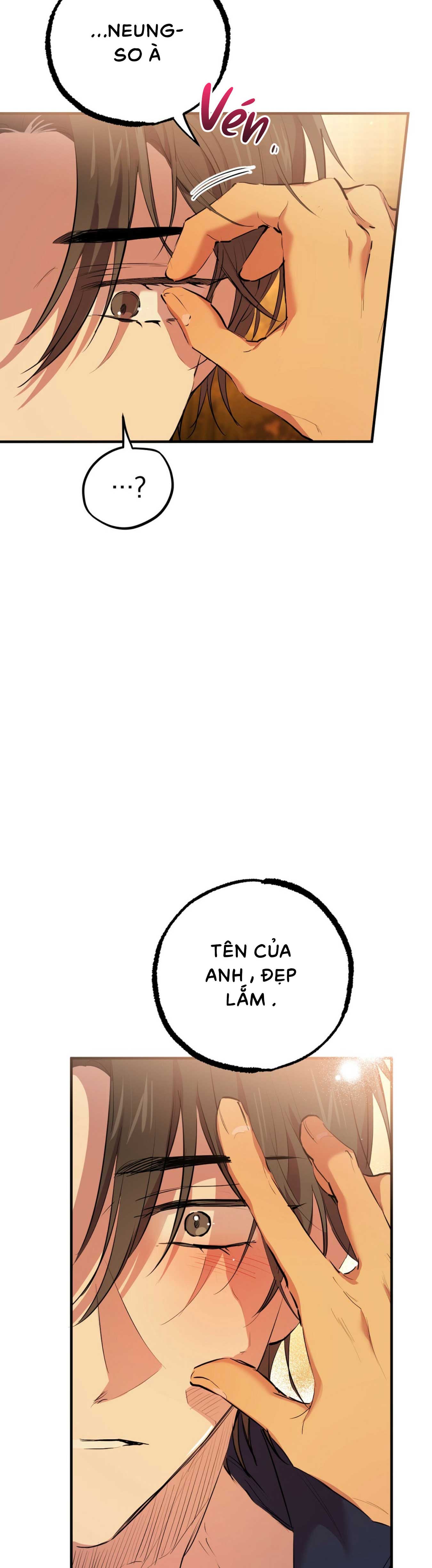 Những Chú Thỏ Của Habibi - Chap 24