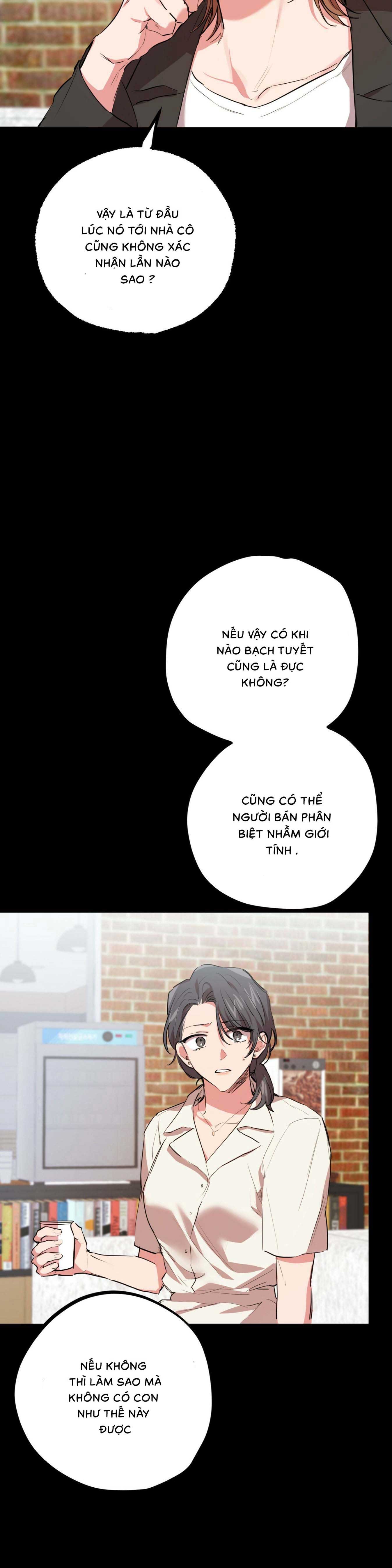 Những Chú Thỏ Của Habibi - Chap 30