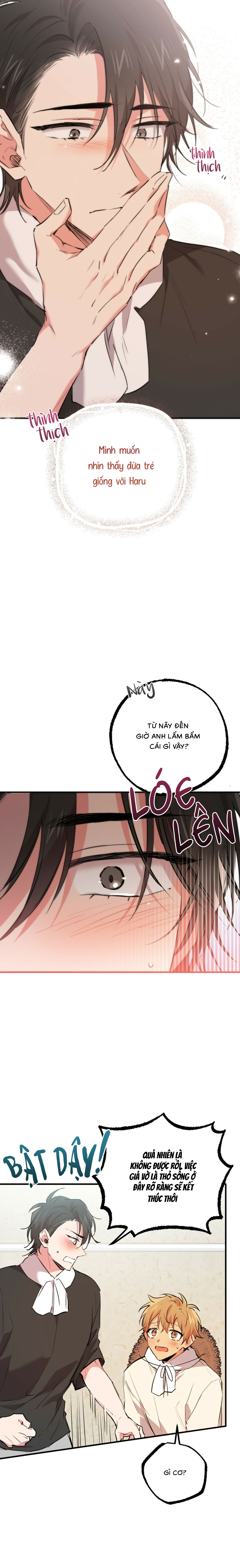 Những Chú Thỏ Của Habibi - Chap 31