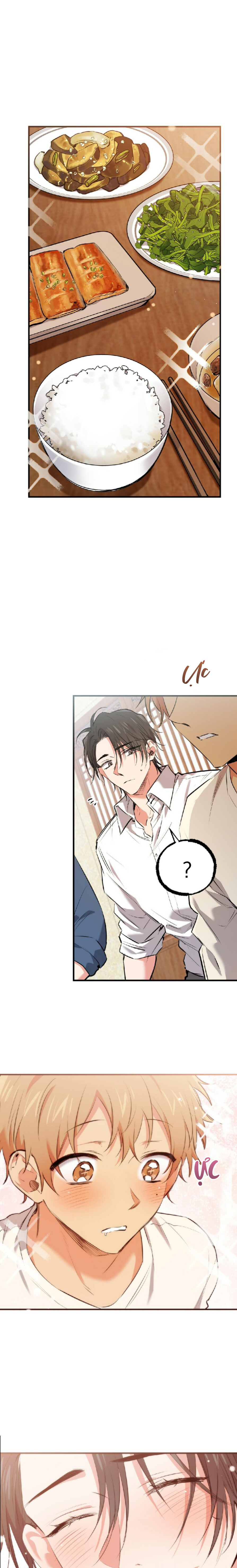 Những Chú Thỏ Của Habibi - Chap 40