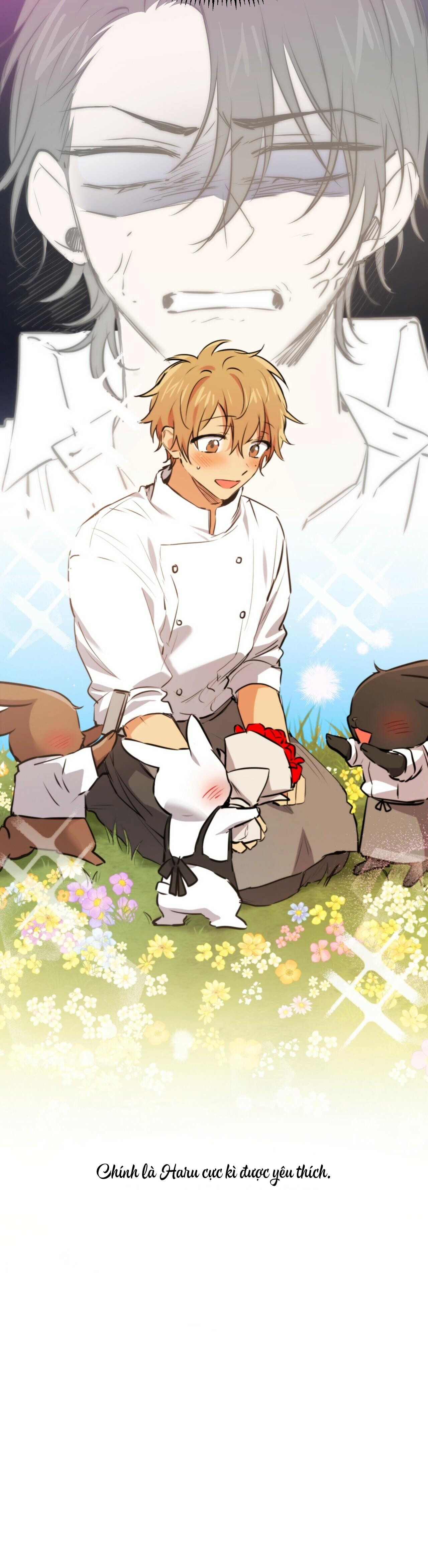 Những Chú Thỏ Của Habibi - Chap 40