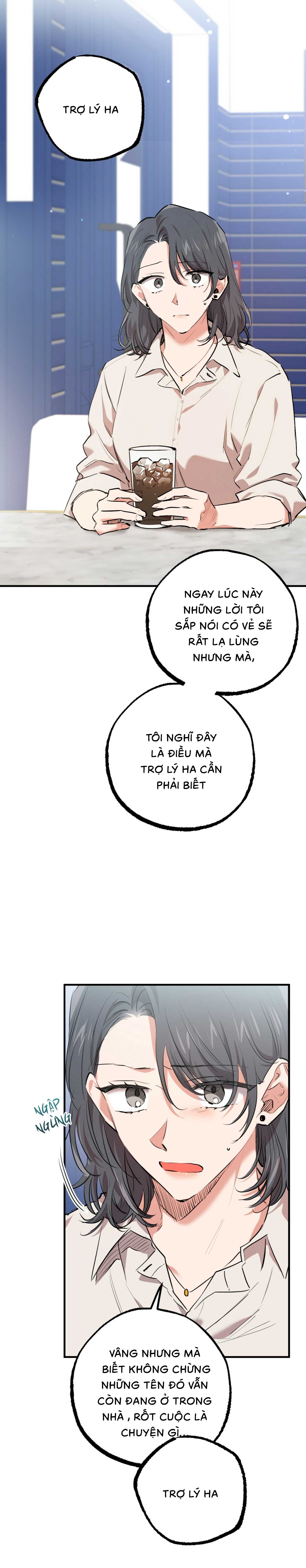 Những Chú Thỏ Của Habibi - Chap 34