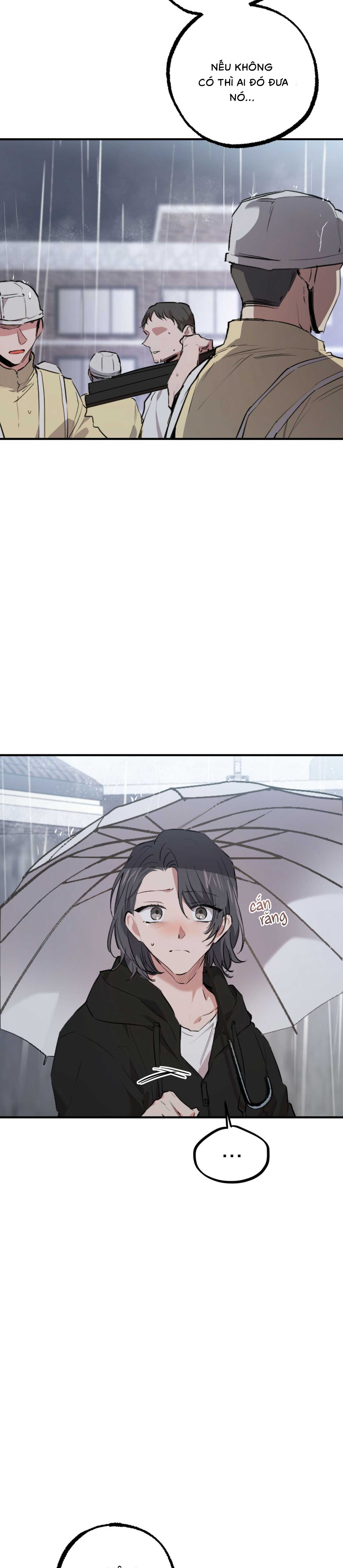 Những Chú Thỏ Của Habibi - Chap 35