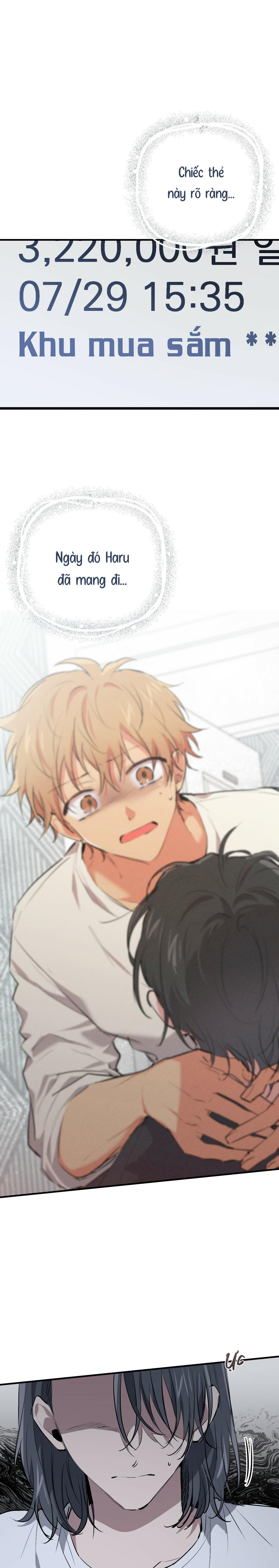 Những Chú Thỏ Của Habibi - Chap 42
