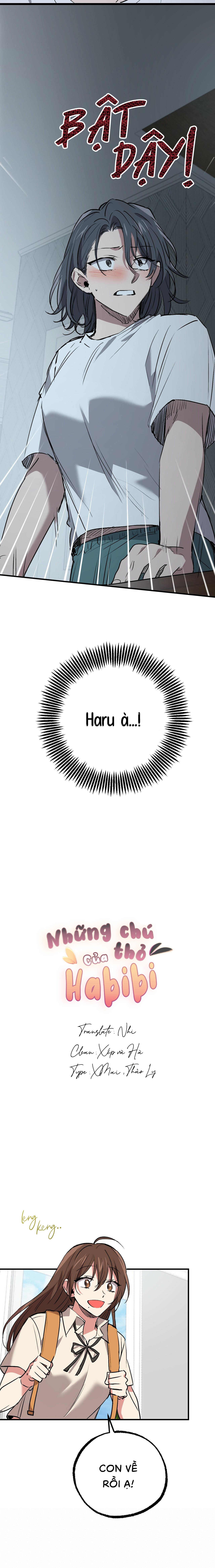 Những Chú Thỏ Của Habibi - Chap 42