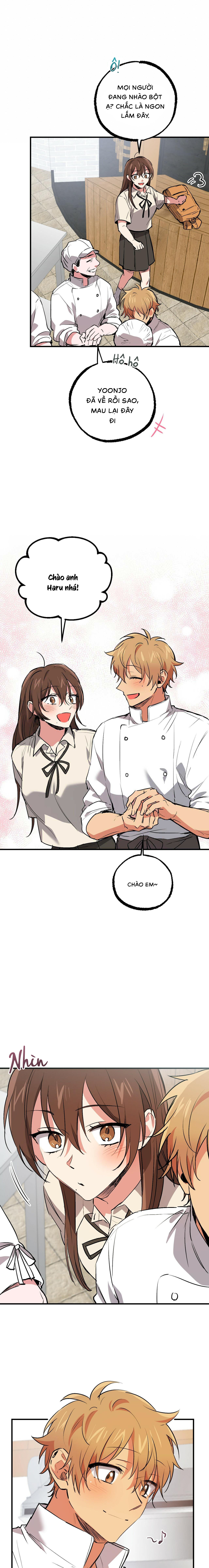 Những Chú Thỏ Của Habibi - Chap 42