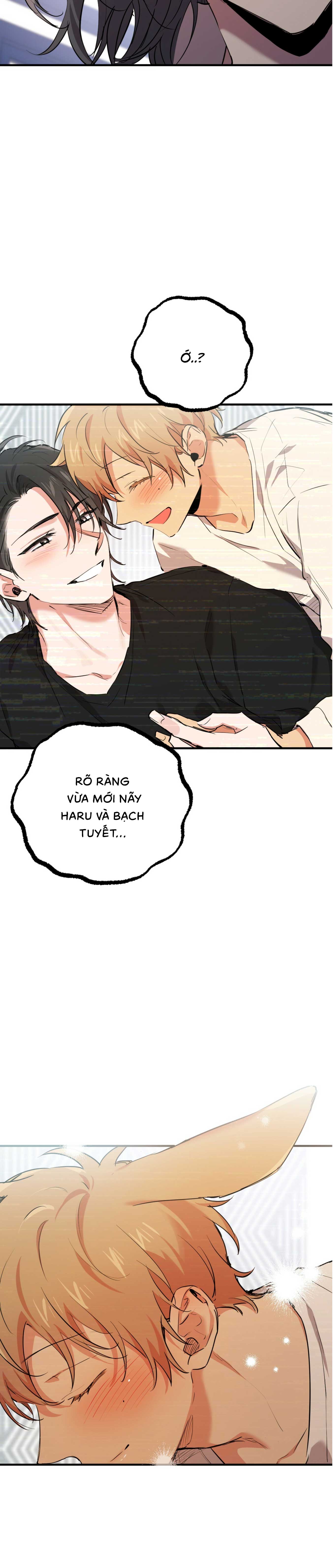 Những Chú Thỏ Của Habibi - Chap 34