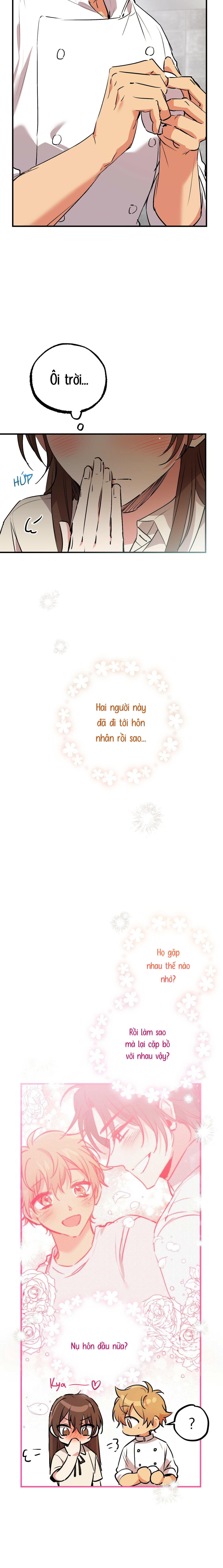 Những Chú Thỏ Của Habibi - Chap 42