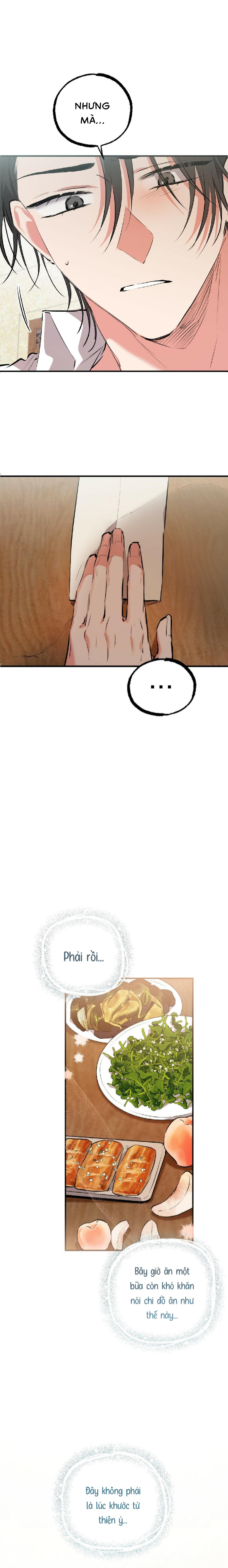 Những Chú Thỏ Của Habibi - Chap 40