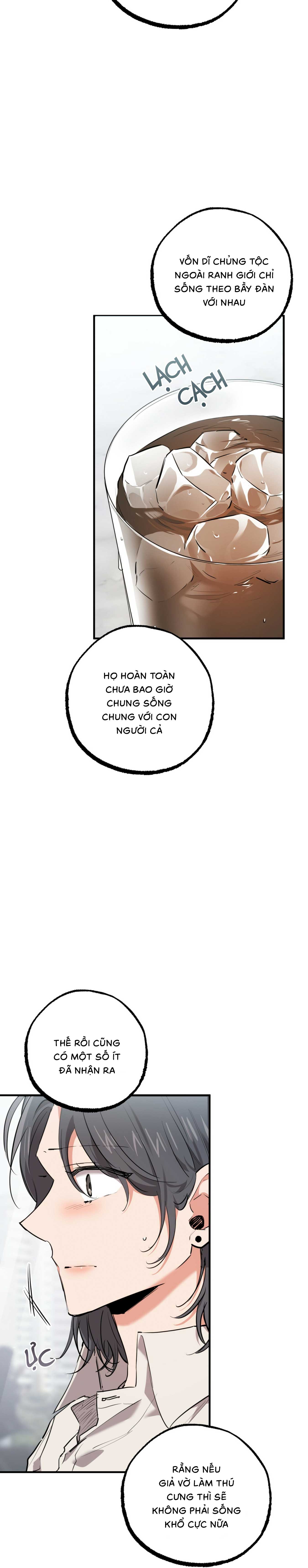 Những Chú Thỏ Của Habibi - Chap 34