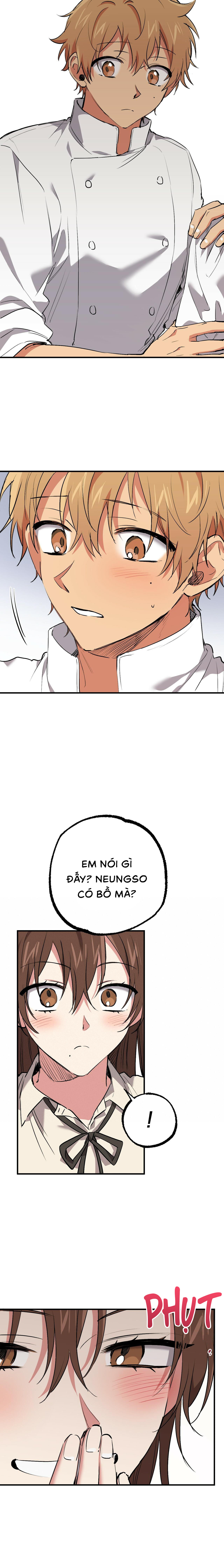 Những Chú Thỏ Của Habibi - Chap 42