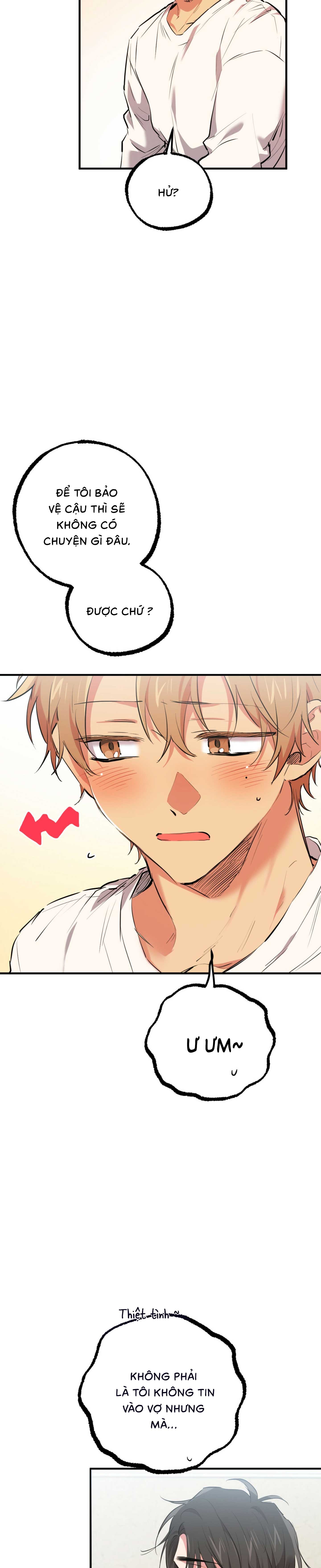 Những Chú Thỏ Của Habibi - Chap 35