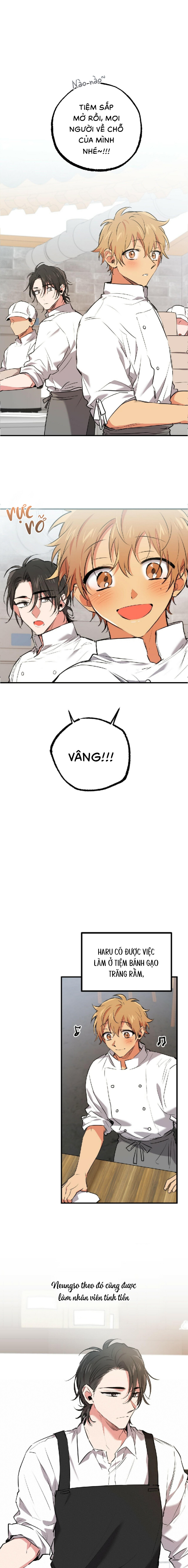 Những Chú Thỏ Của Habibi - Chap 40