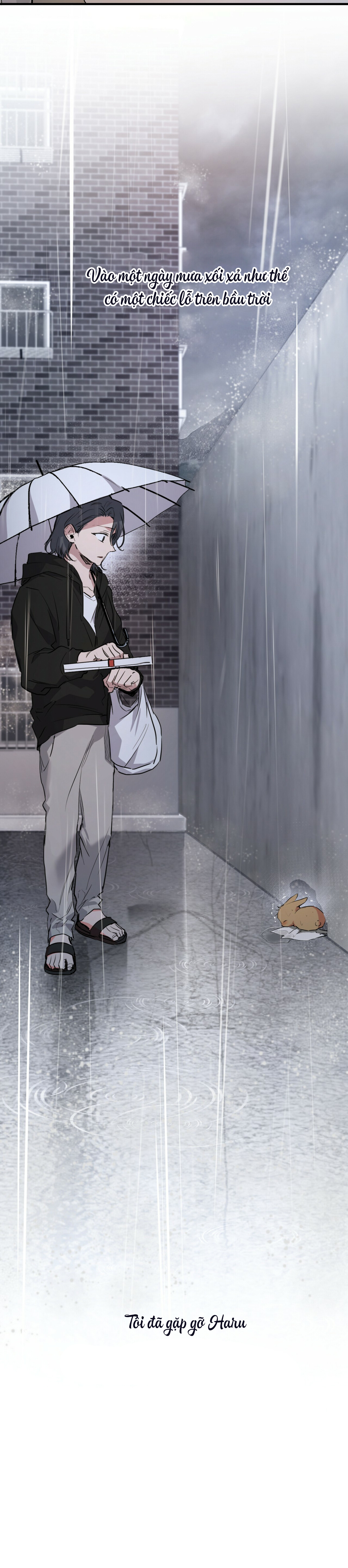 Những Chú Thỏ Của Habibi - Chap 34