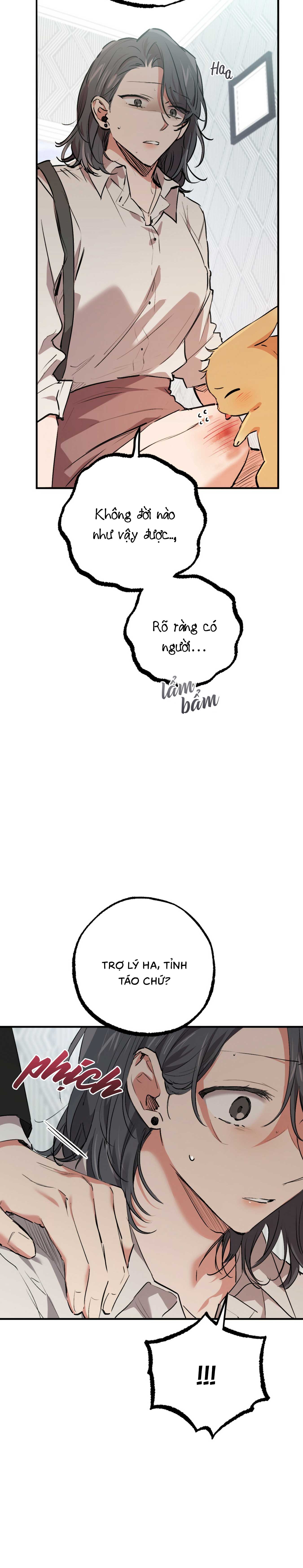 Những Chú Thỏ Của Habibi - Chap 33 (H)