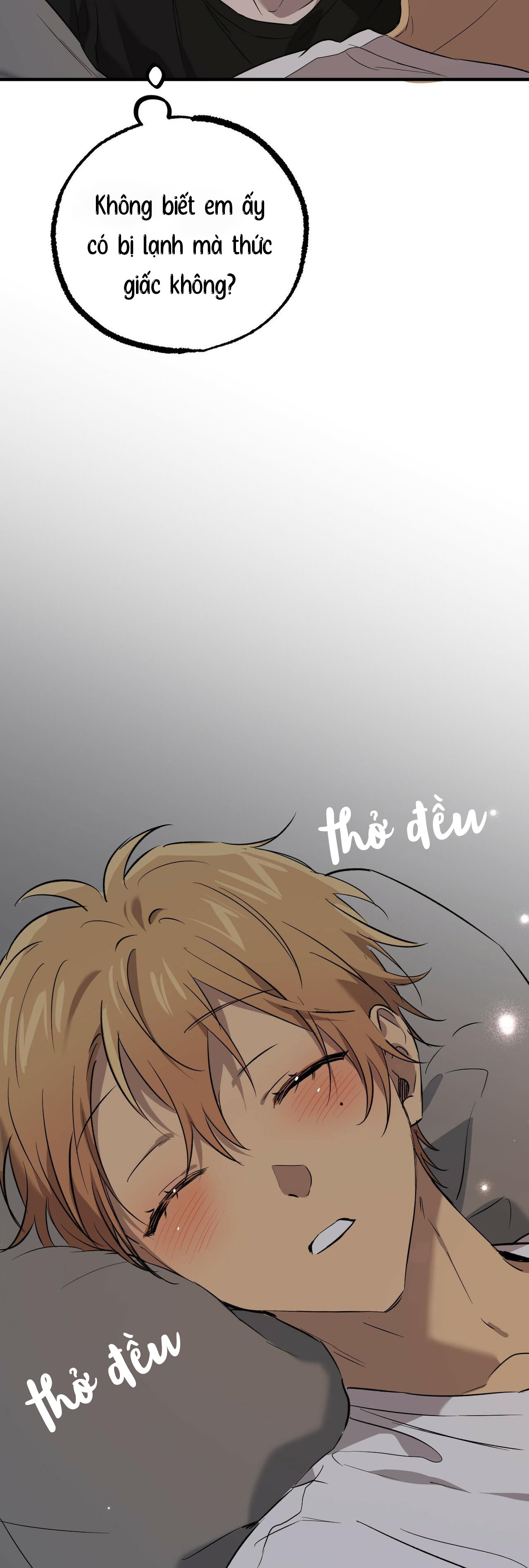 Những Chú Thỏ Của Habibi - Chap 55