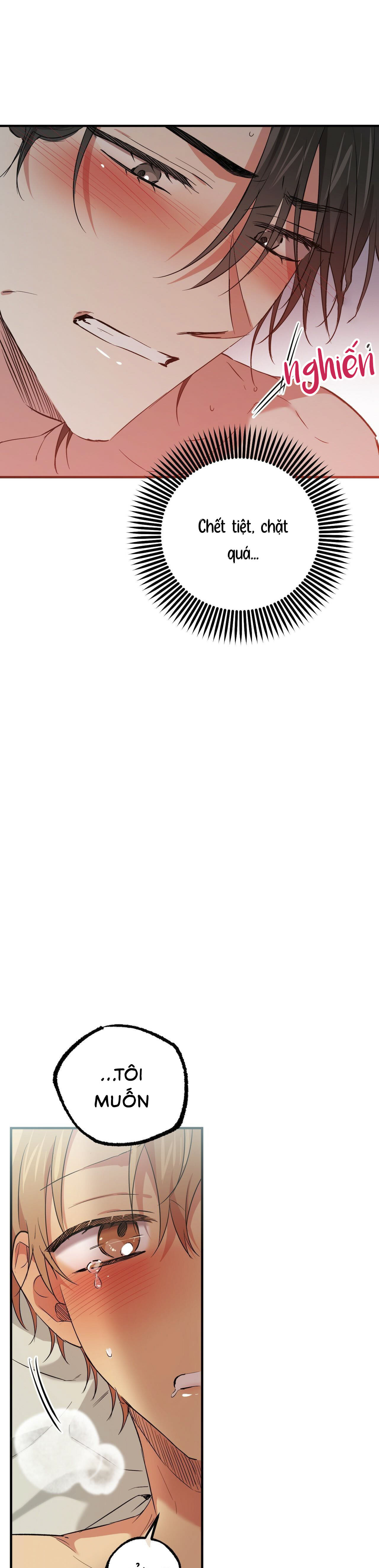 Những Chú Thỏ Của Habibi - Chap 54 (H)