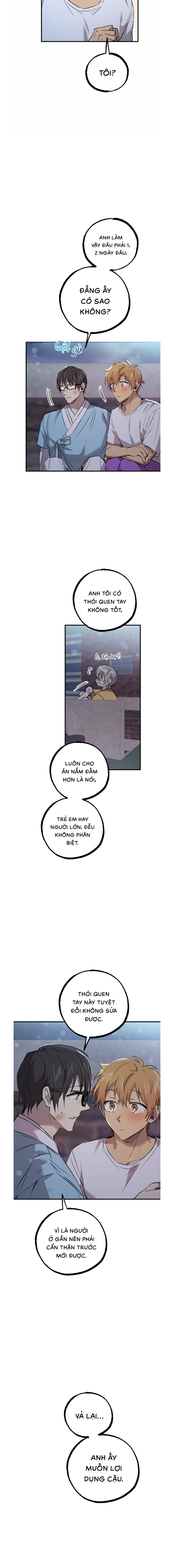 Những Chú Thỏ Của Habibi - Chap 60