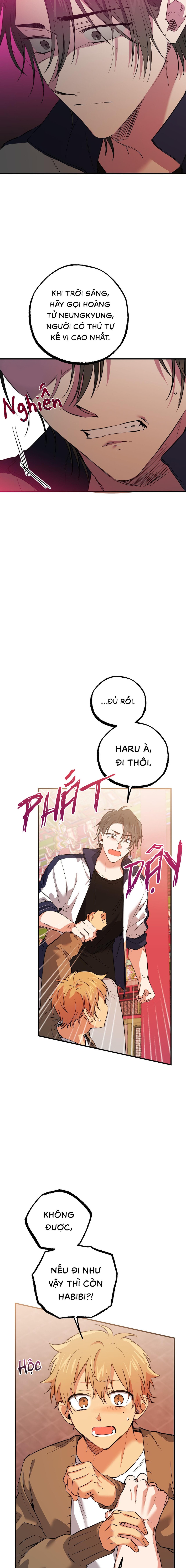 Những Chú Thỏ Của Habibi - Chap 62