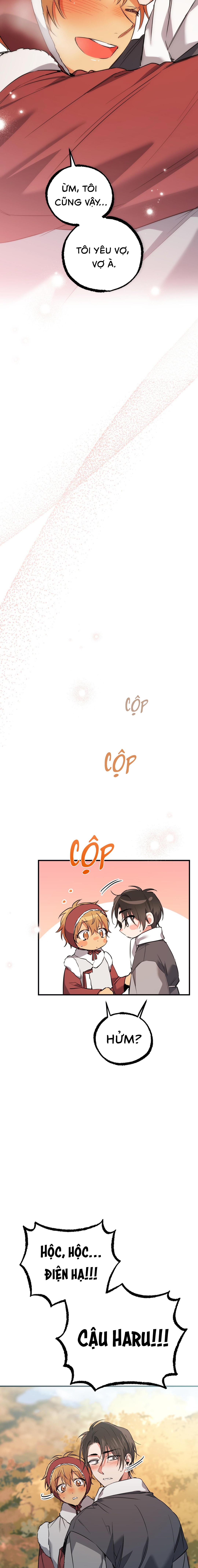 Những Chú Thỏ Của Habibi - Chap 64