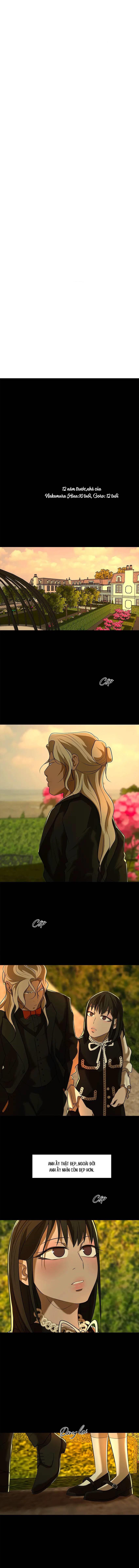 Tình Yêu Với Tên Sát Nhân Bóng Rổ - Chap 41