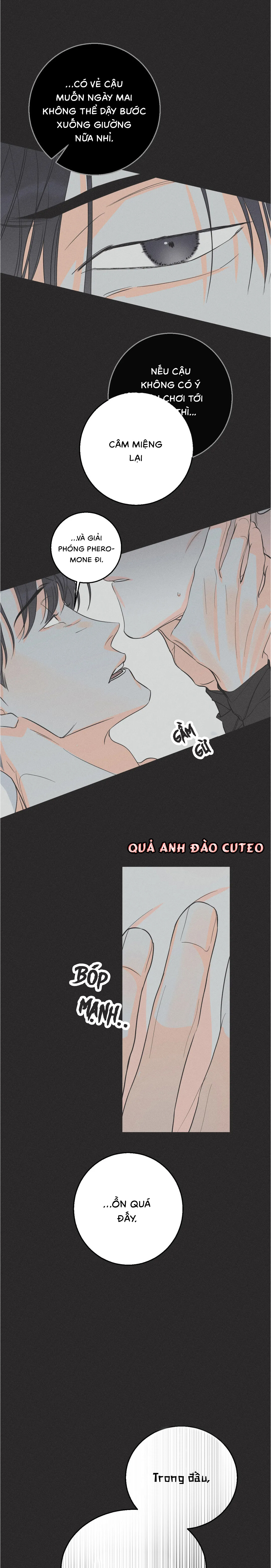 Dù Như Thế Vẫn Thích Sao? - Chap 3