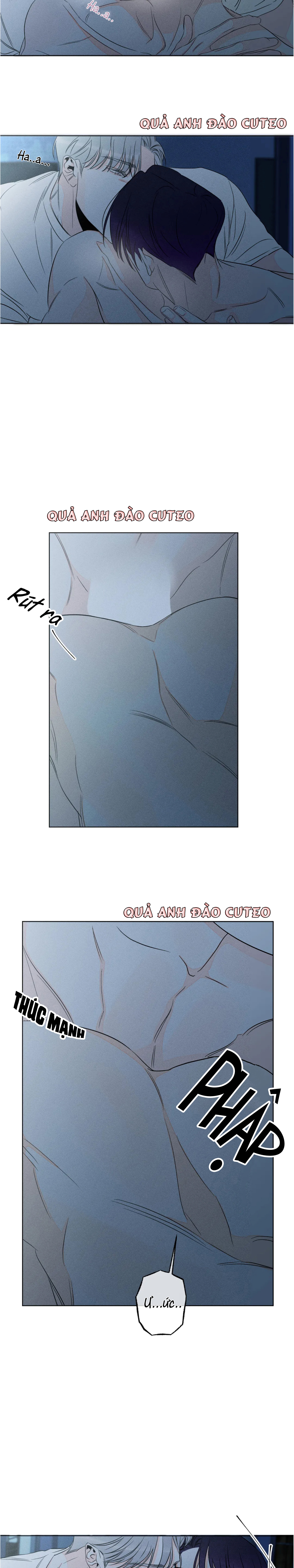 Dù Như Thế Vẫn Thích Sao? - Chap 19