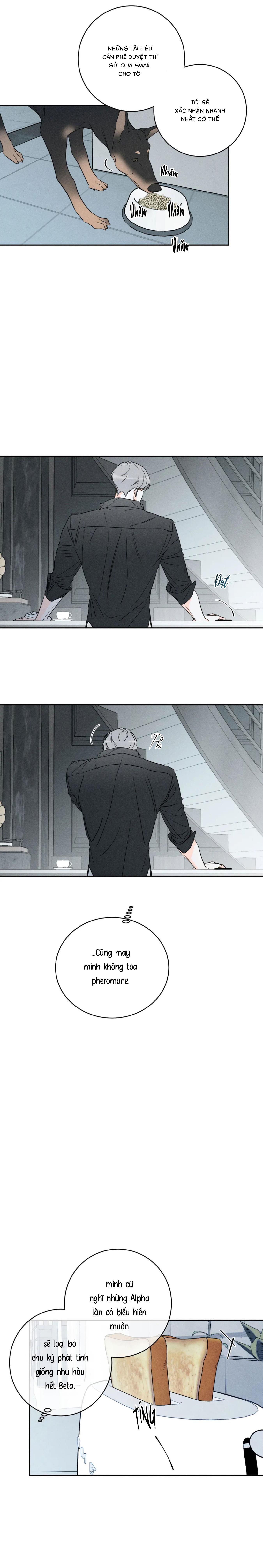 Dù Như Thế Vẫn Thích Sao? - Chap 29